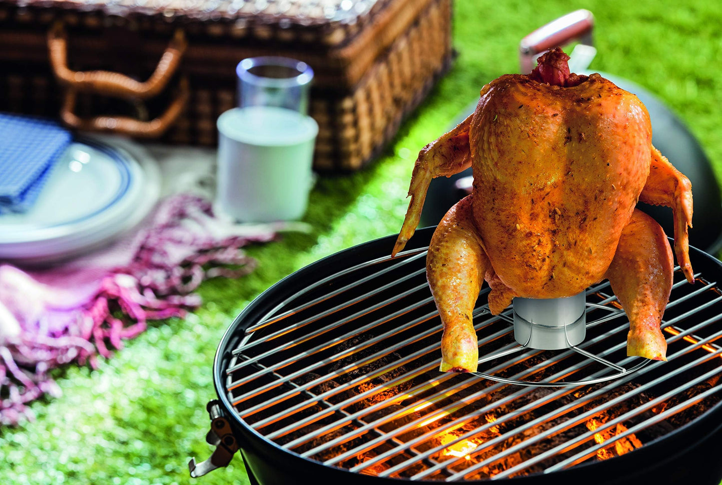 BBQ Collection Stainless Steel Chicken Griller