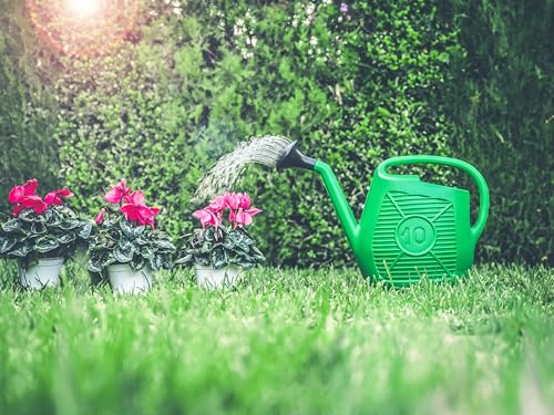Ecoplast Watering Can, Ideal for Gardening, Plants and Flowers, Easy to Use, Resistant, Long-lasting and Non-deformable, with Shower Head Included, Made in Italy
