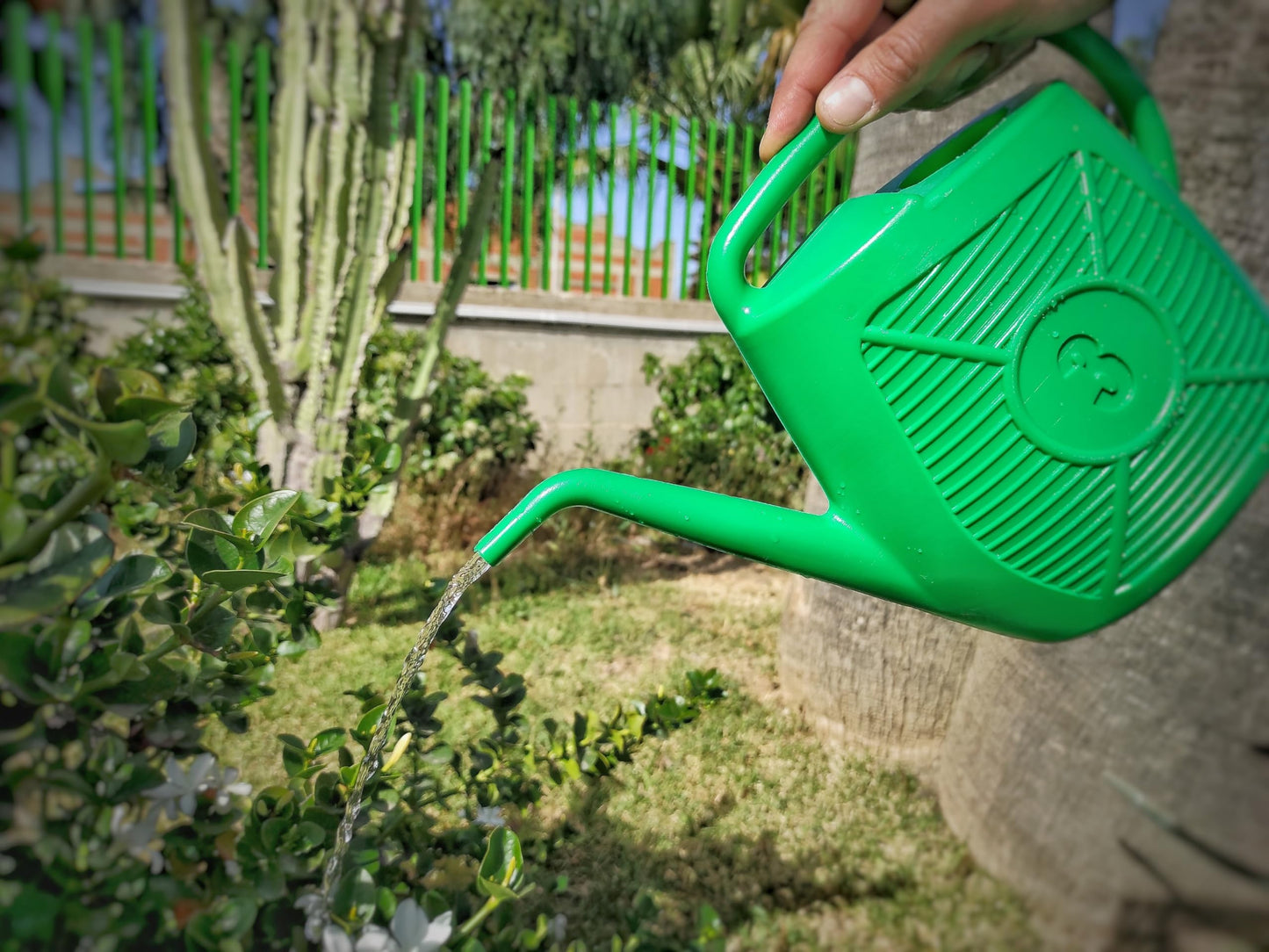 Ecoplast Watering Can, Ideal for Gardening, Plants and Flowers, Easy to Use, Resistant, Long-lasting and Non-deformable, with Shower Head Included, Made in Italy
