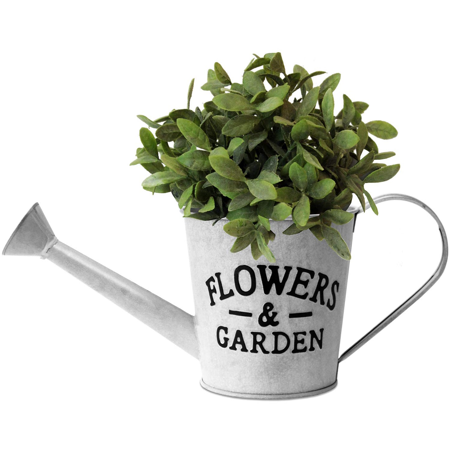 Annaffiatoio Decorativo Vintage Flowers & Garden 37x15 cm - Metallo Grigio
