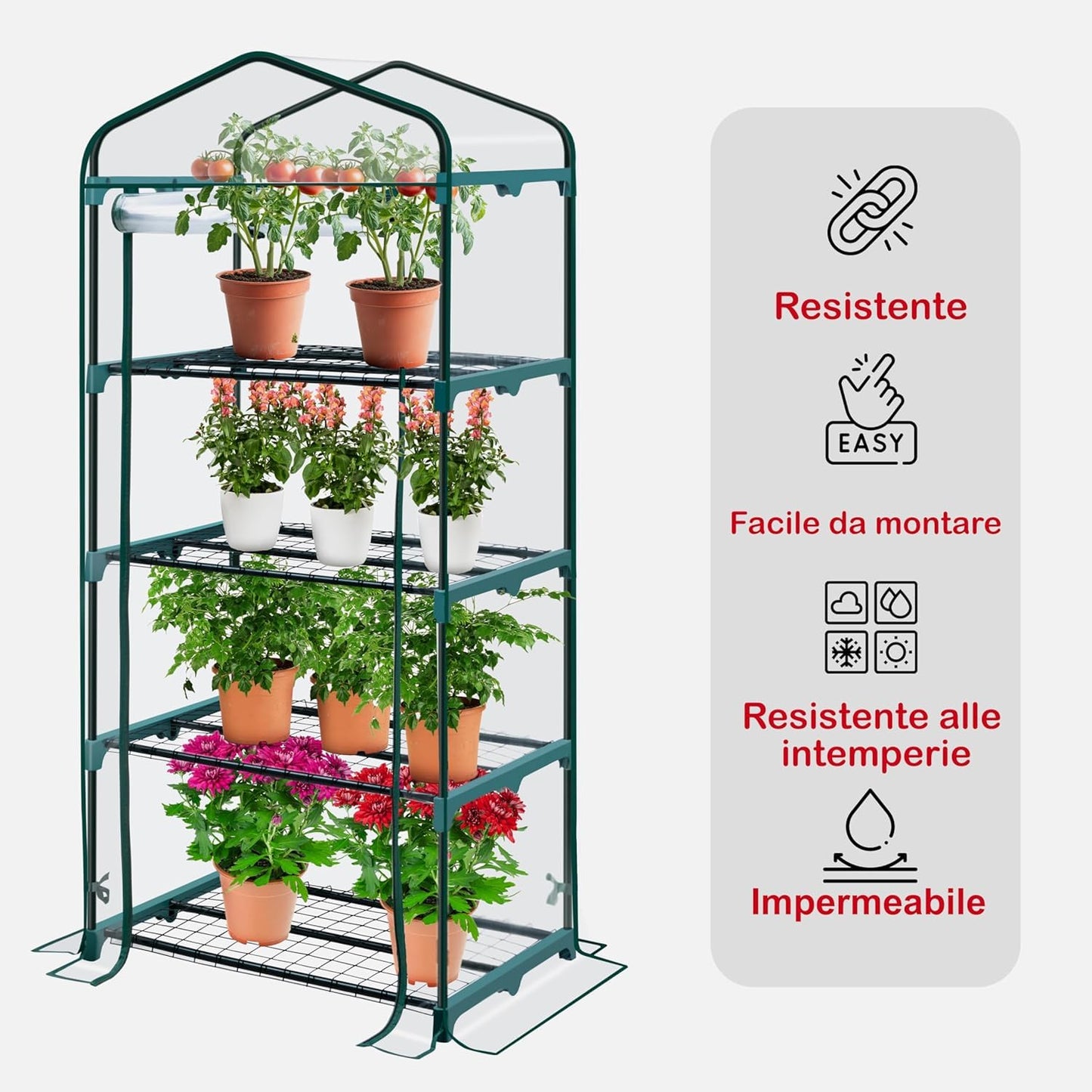 Fercasashop Garden Greenhouse with 4 Shelves, 158x68x50 cm, Green, Roll-Up Door, for Balcony and Terrace