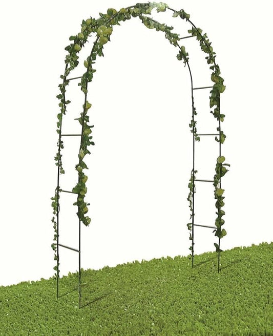 FERCASASHOP - Rose Arch, Climbing Plants, Garden Decoration, Plant Support, Metal Stand, 140x38x240 cm, Green Color