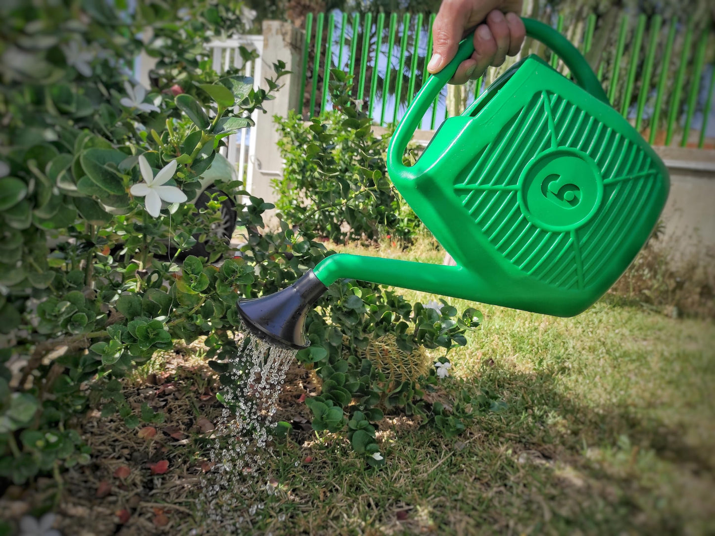 Ecoplast Watering Can, Ideal for Gardening, Plants and Flowers, Easy to Use, Resistant, Long-lasting and Non-deformable, with Shower Head Included, Made in Italy