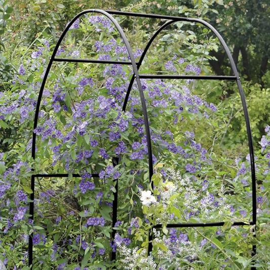 Arche pour rosiers grimpants, support pour plantes grimpantes, décoration de jardin, support en métal, 140 x 38 x 240 cm, vert