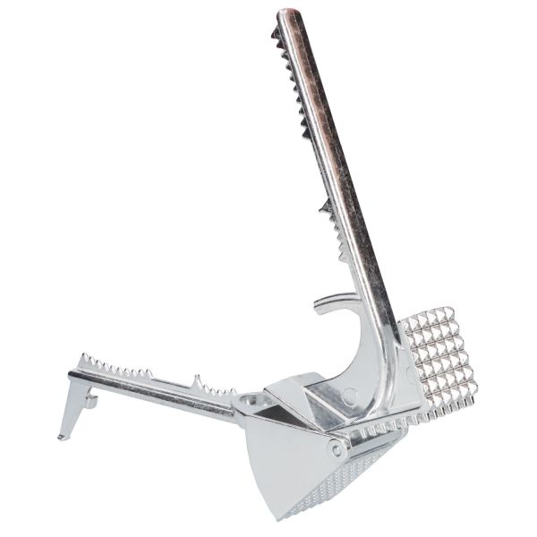 Zaseves ZAS320023 Daffy Scat garlic press 23Nsc