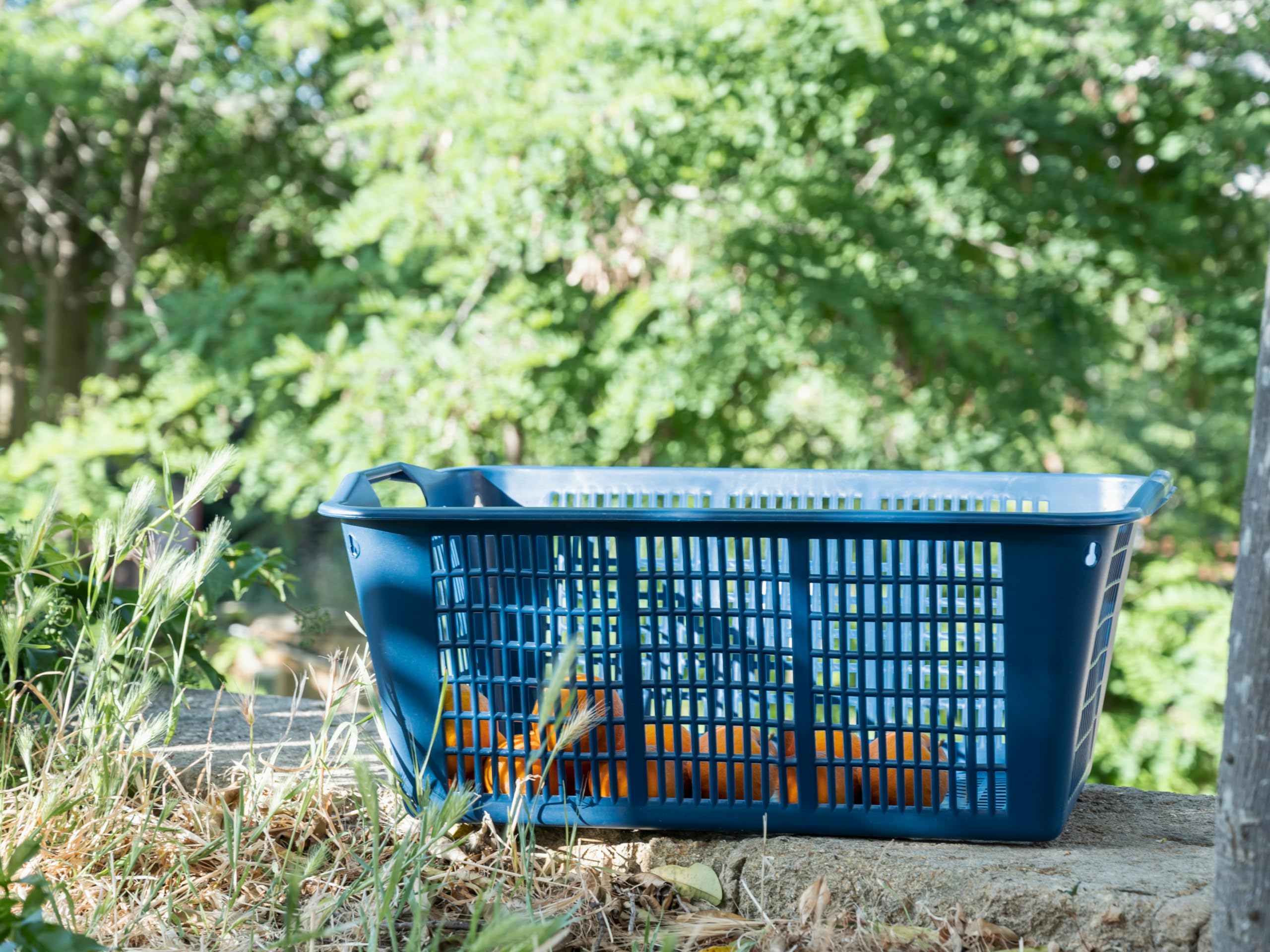 Grand panier multifonctionnel 58 cm