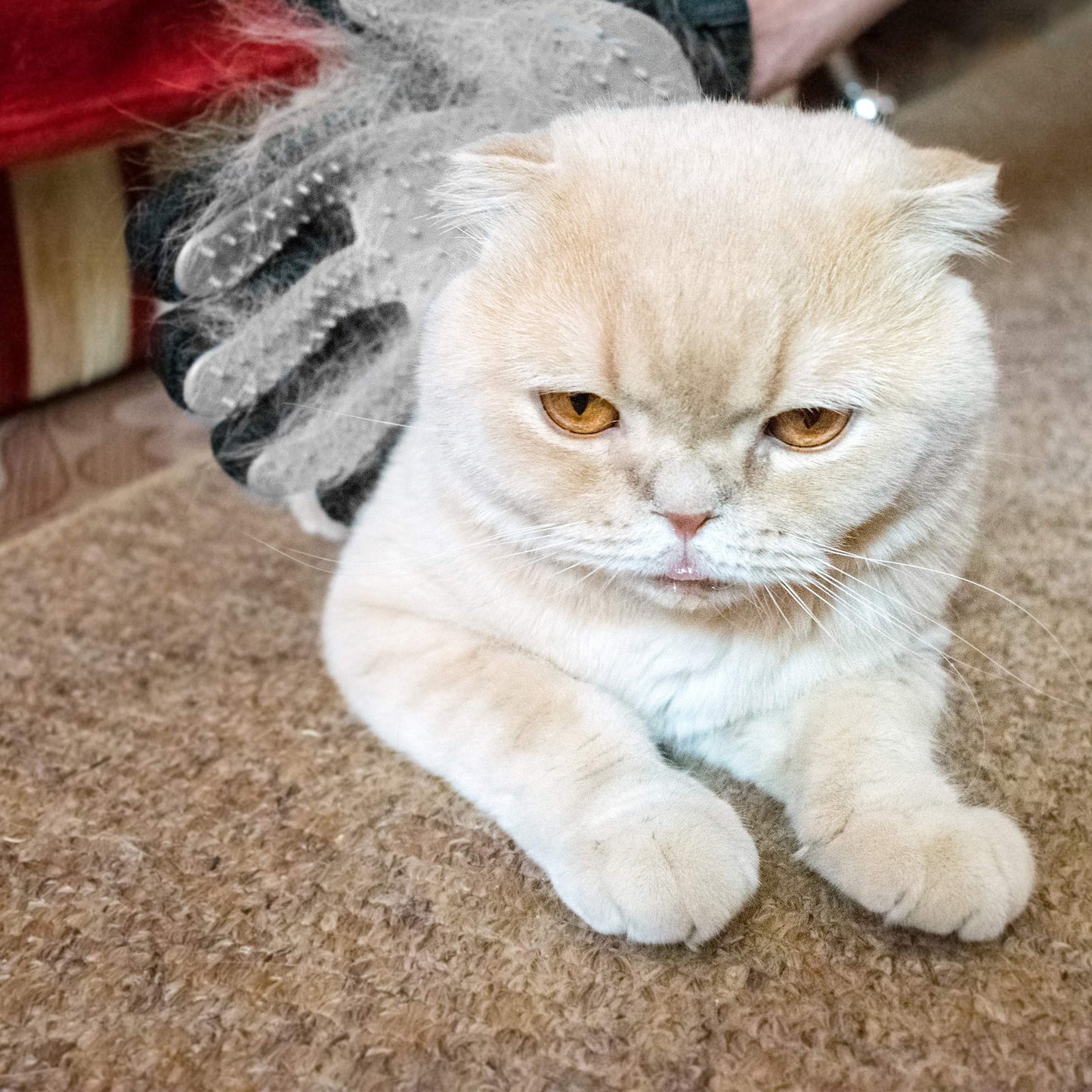 Set 2 Paia di Guanti Rimuovi Peli, Rimozione e Massaggio, per Cani e Gatti, Effetto Spazzola, Setole in Gomma, Blu