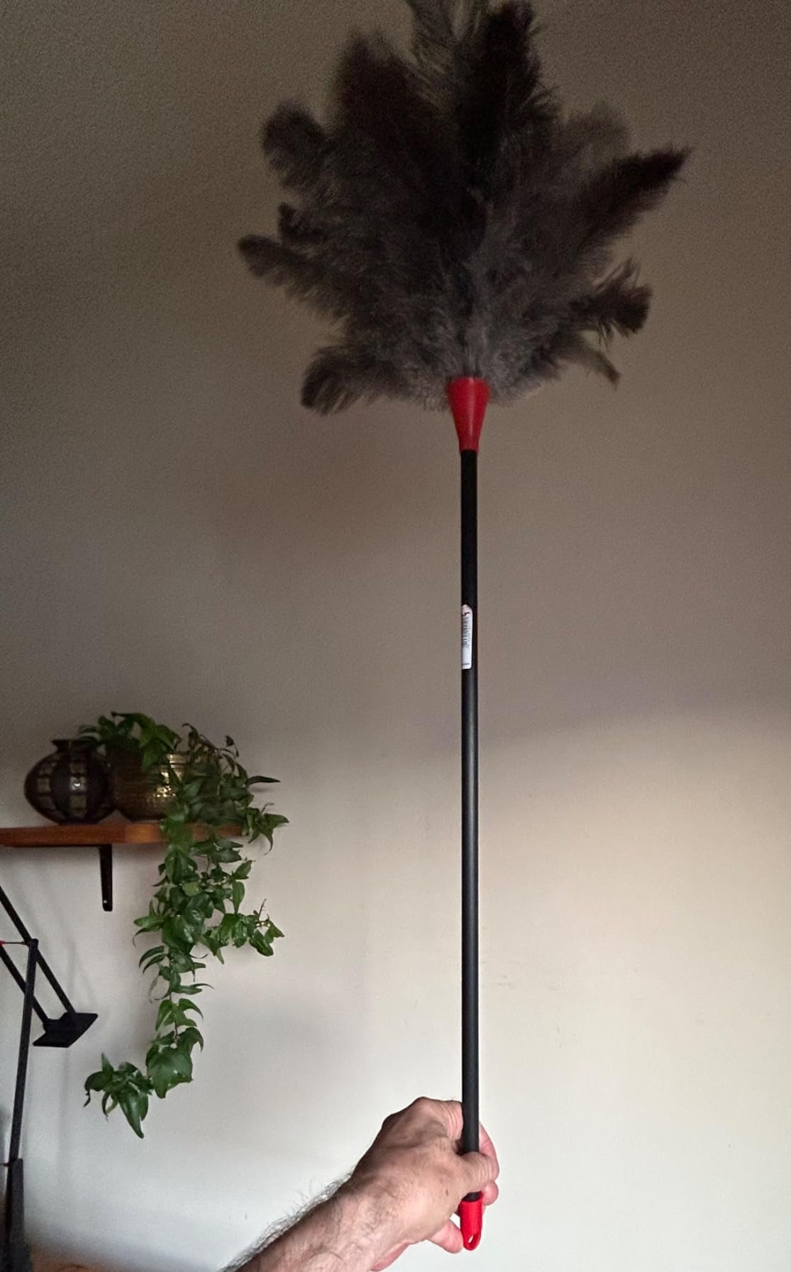 Plumeau en plumes d'autruche naturelles, 95 cm de long, 20 mm de diamètre - Pour nettoyer les rainures, pour les chambres, les salons, les librairies, les bureaux, les magasins.