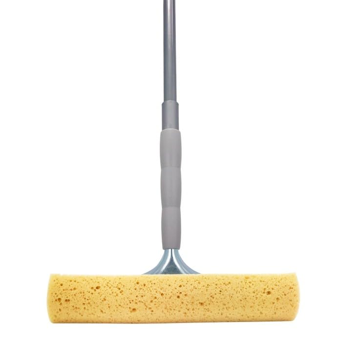 Nettoyeur de vitres avec éponge de 25 cm pour le lavage et caoutchouc pour le séchage, idéal pour un nettoyage efficace et rapide des surfaces vitrées.