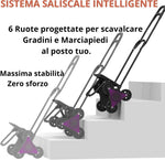 Carrello Spesa Pieghevole Saliscale