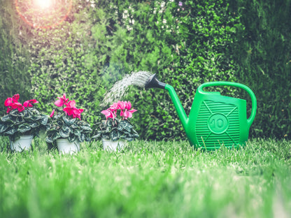 Arrosoir idéal pour le jardinage, les plantes et les fleurs. Facile à utiliser, résistant, durable et indéformable. Pommeau de douche inclus. Fabriqué en Italie.