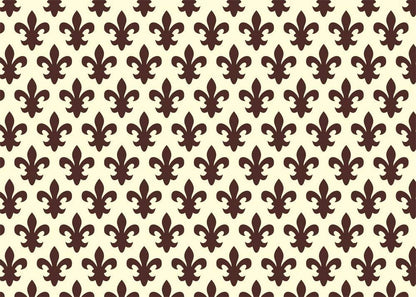 Set 6 Rotoli Carta Cassetto Lavabile 5mx50cm - Giglio Fiorentino Riutilizzabile