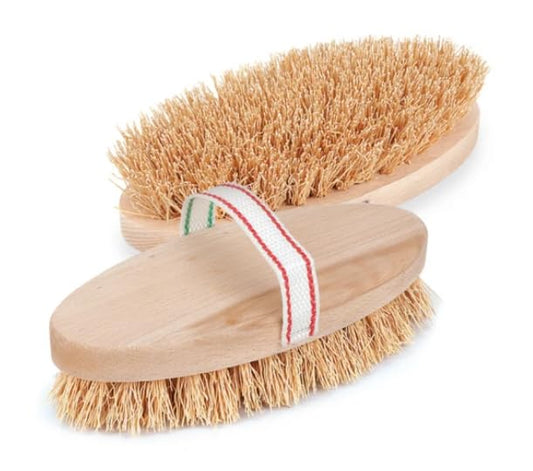 FERCASASHOP Wooden Brush Curry Comb Ox Horse in briar 22 cm