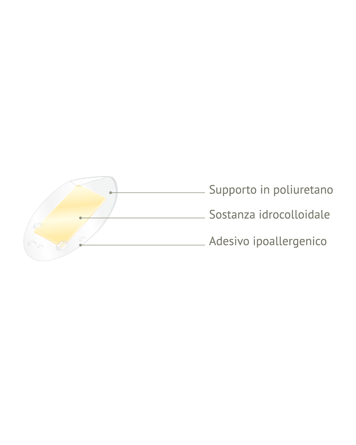 Pansements pour ampoules et abrasions, paquet de 5 pansements