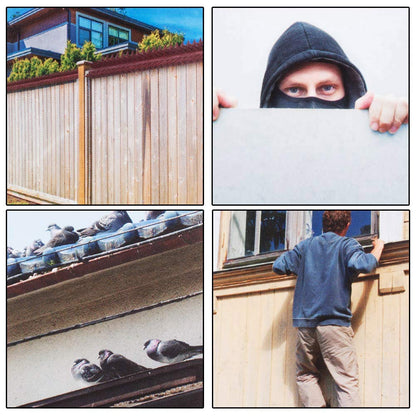 Dissuasori Piccioni Professionali 5 Metri - 10 Strisce Plurispillo Plastica Anti Uccelli Colombi per Balcone Terrazza Grondaia