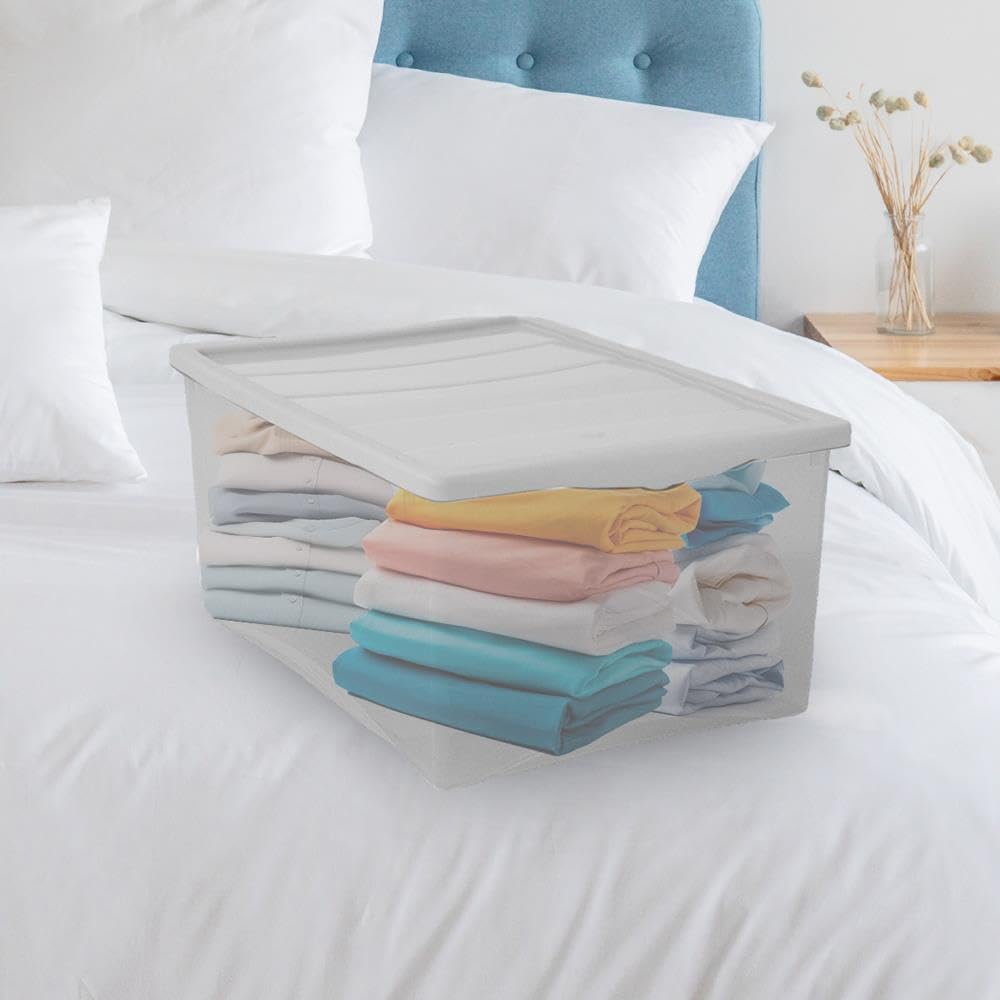 Contenitore Box 55x39x25 cm Trasparente con Coperchio