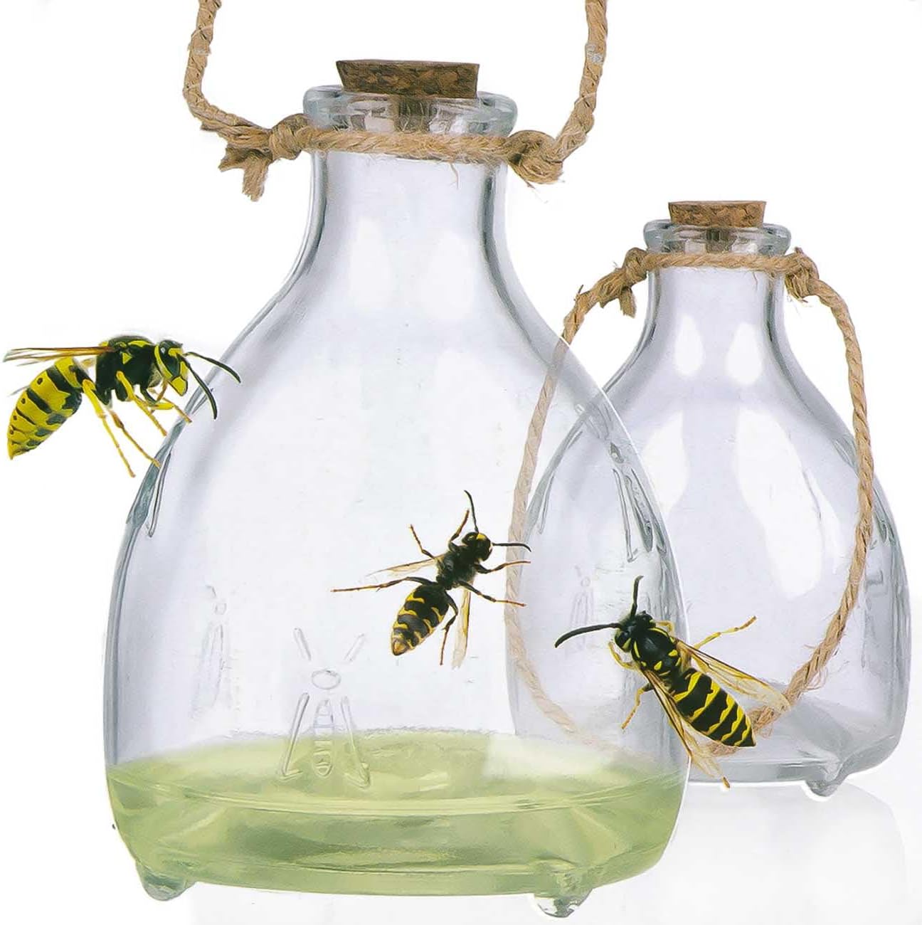 Trappole per Vespe in Vetro – Set 2 pz, Ecologiche e Riutilizzabili