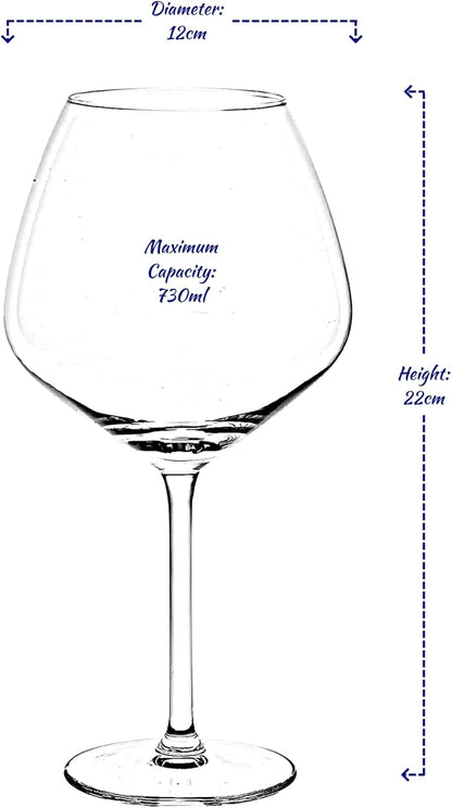 Set 4 bicchieri gin tonic Alpina stile Copa da 730ml. Calici balloon eleganti in vetro per cocktail e G&T. Perfetti per casa, bar e regali