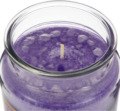 Candela Profumata in Giara di Vetro 550g - Fragranze Naturali per Casa e Relax