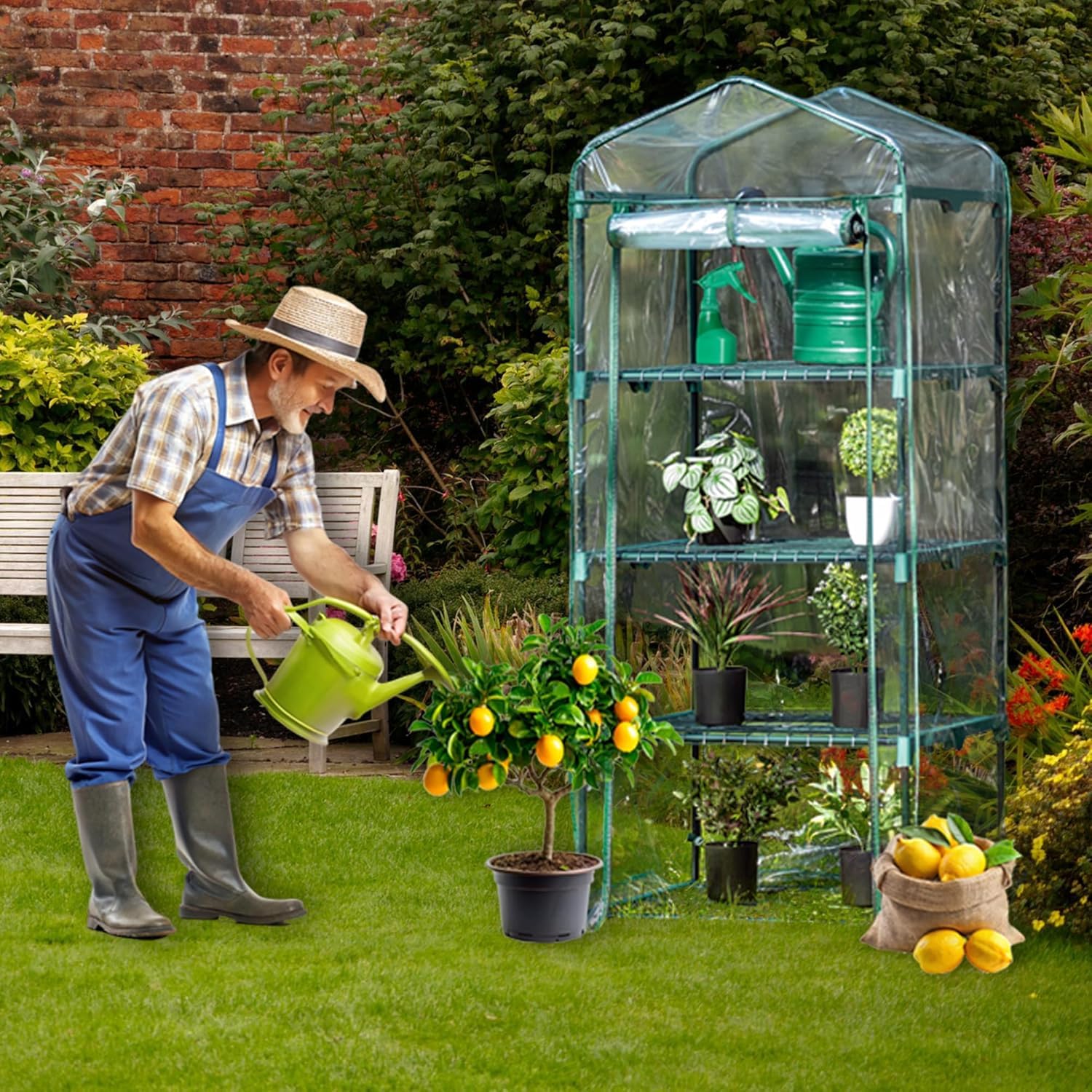 Fercasashop Garden Greenhouse with 4 Shelves, 158x68x50 cm, Green, Roll-Up Door, for Balcony and Terrace