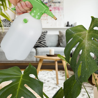 Spruzzatore a Pressione da 2 Litri, Ugello Regolabile, Nebulizza Acqua e Diserbante, da Giardino, Bianco Verde