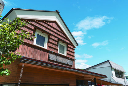 Dissuasori Piccioni Plurispillo Plastica 10PZ Per Uccelli Colombi Volatili 5mt