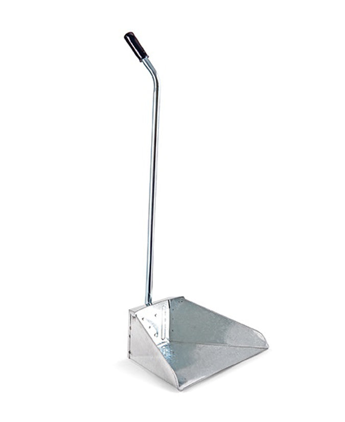 Alzaimmondizia Zincata Manico In Ferro