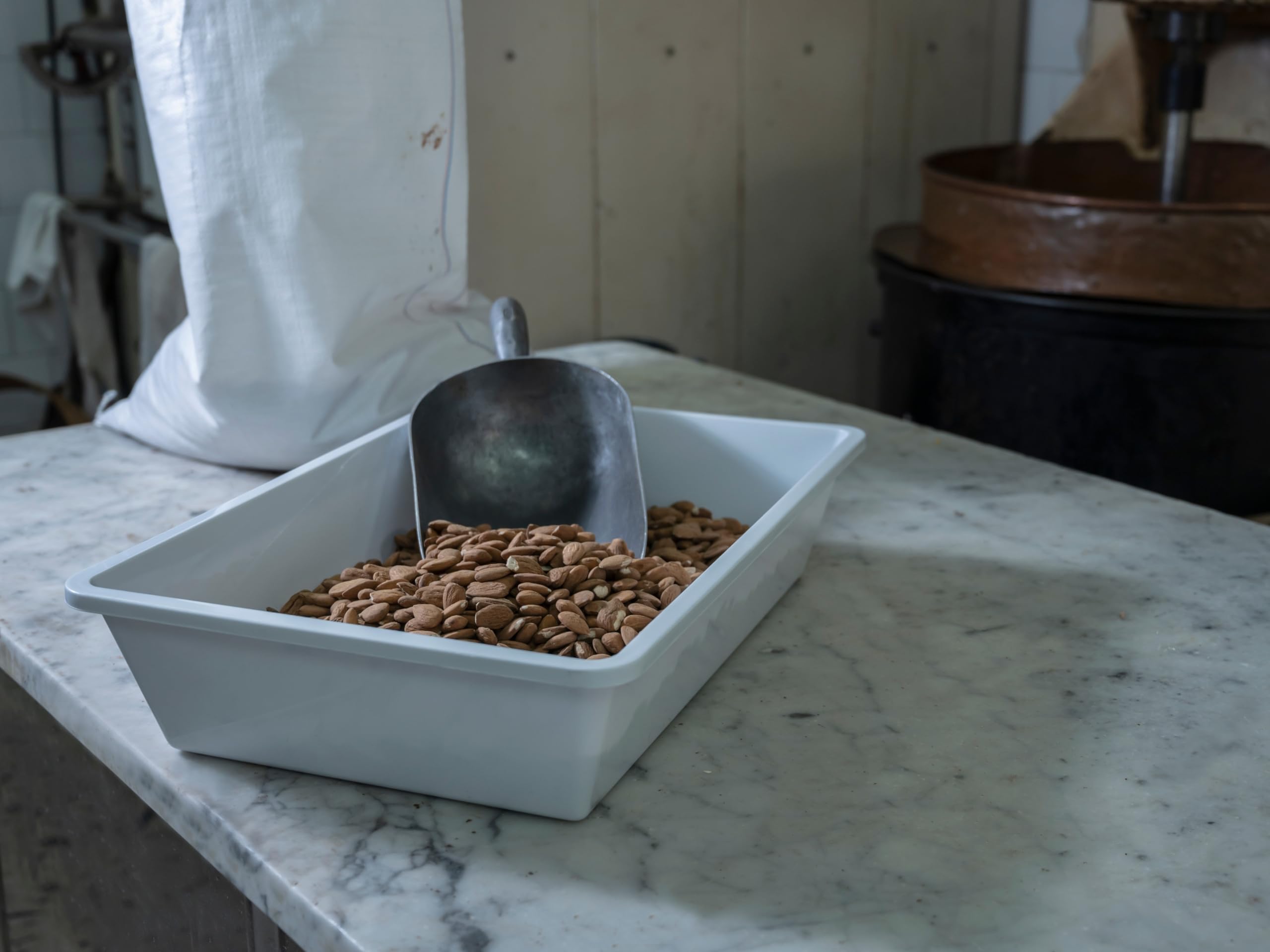 Ecoplast | 16 Lt Plastic Fridge Tray, Plastic Container, Ice Color 50x34.4x11