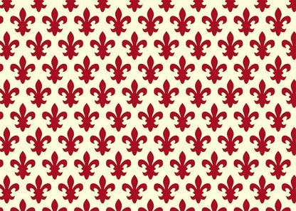 Set 6 Rotoli Carta Cassetto Lavabile 5mx50cm - Giglio Fiorentino Riutilizzabile