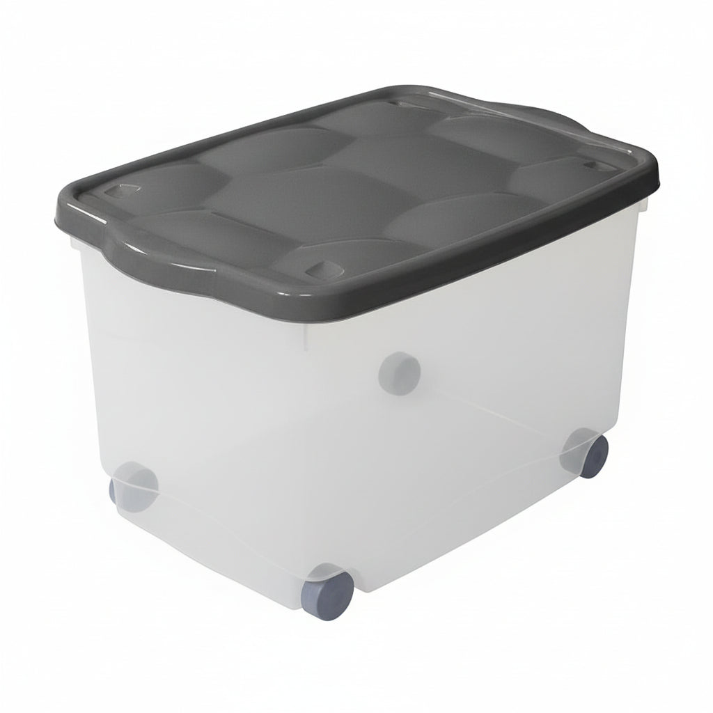 Contenitore Storage Box 60X40X36 Colori Assortiti