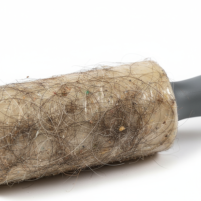 Dettaglio rullo adesivo