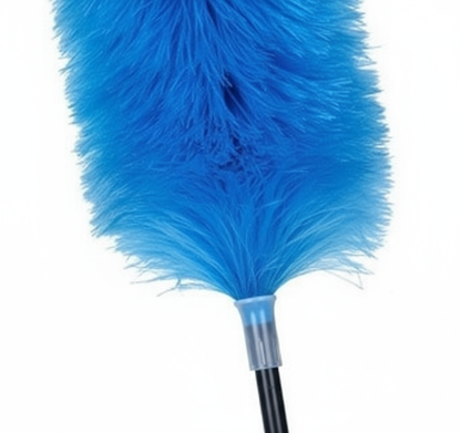 Dettaglio setole e manico