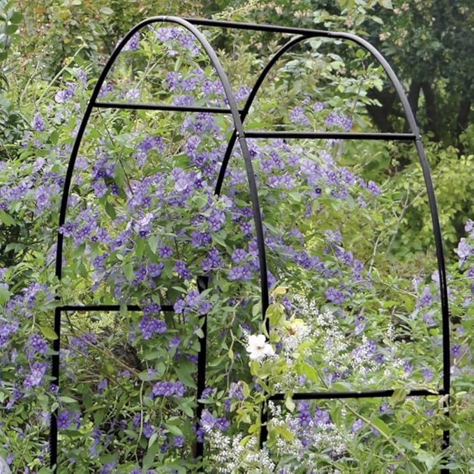FERCASASHOP - Rose Arch, Climbing Plants, Garden Decoration, Plant Support, Metal Stand, 140x38x240 cm, Green Color