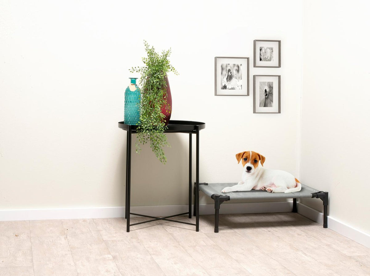 Cuccia Letto per Cani Piccola Taglia | Max 20 kg | 55×43×17 cm | Traspirante con Borsa Trasporto | Grigio