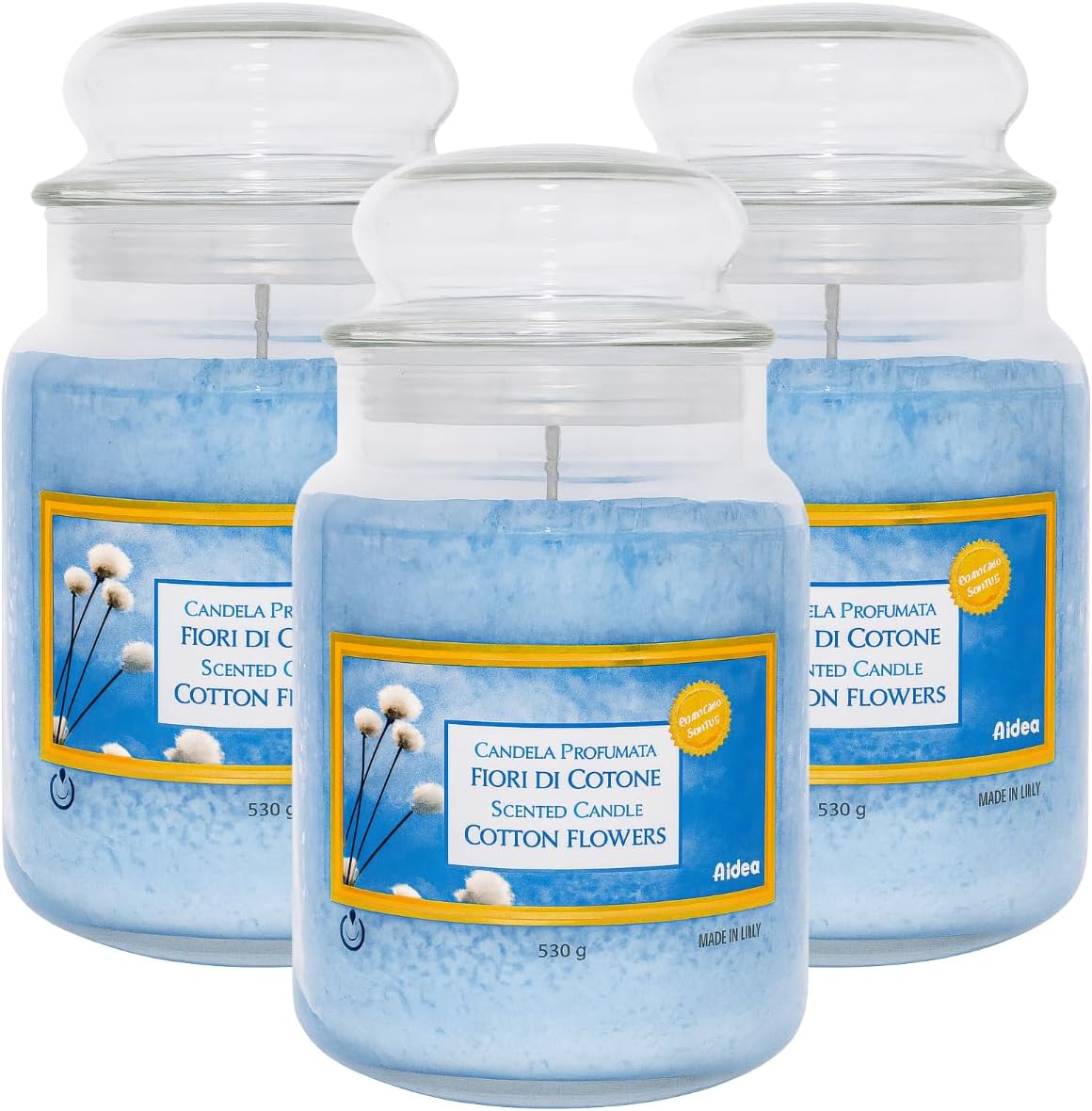 Candela Profumata Giara Vetro 550g Fragranze Naturali