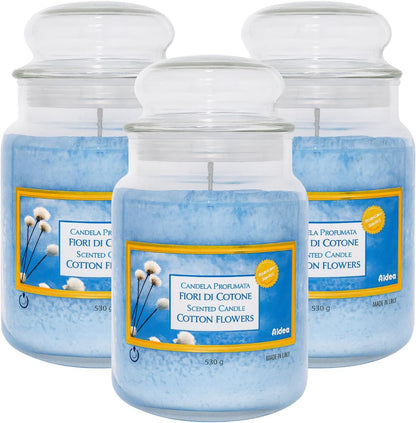 Candela Profumata in Giara di Vetro 550g - Fragranze Naturali per Casa e Relax