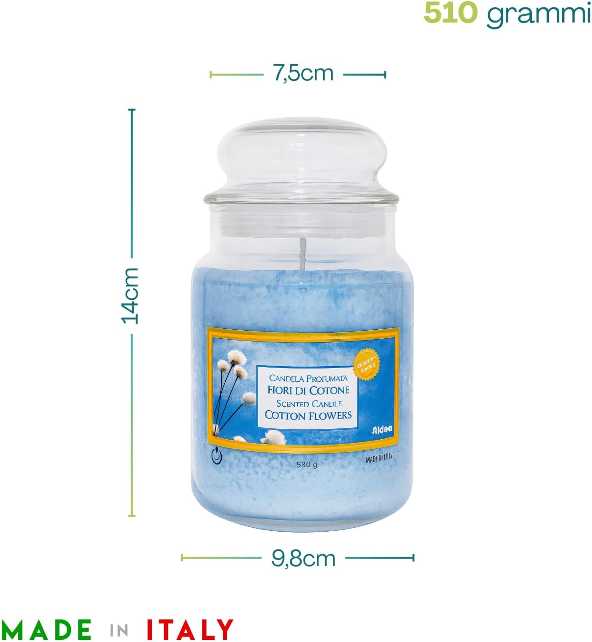 Candela Profumata Giara Vetro 550g Fragranze Naturali