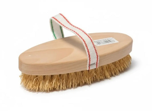 Spazzola striglia sfondo bianco