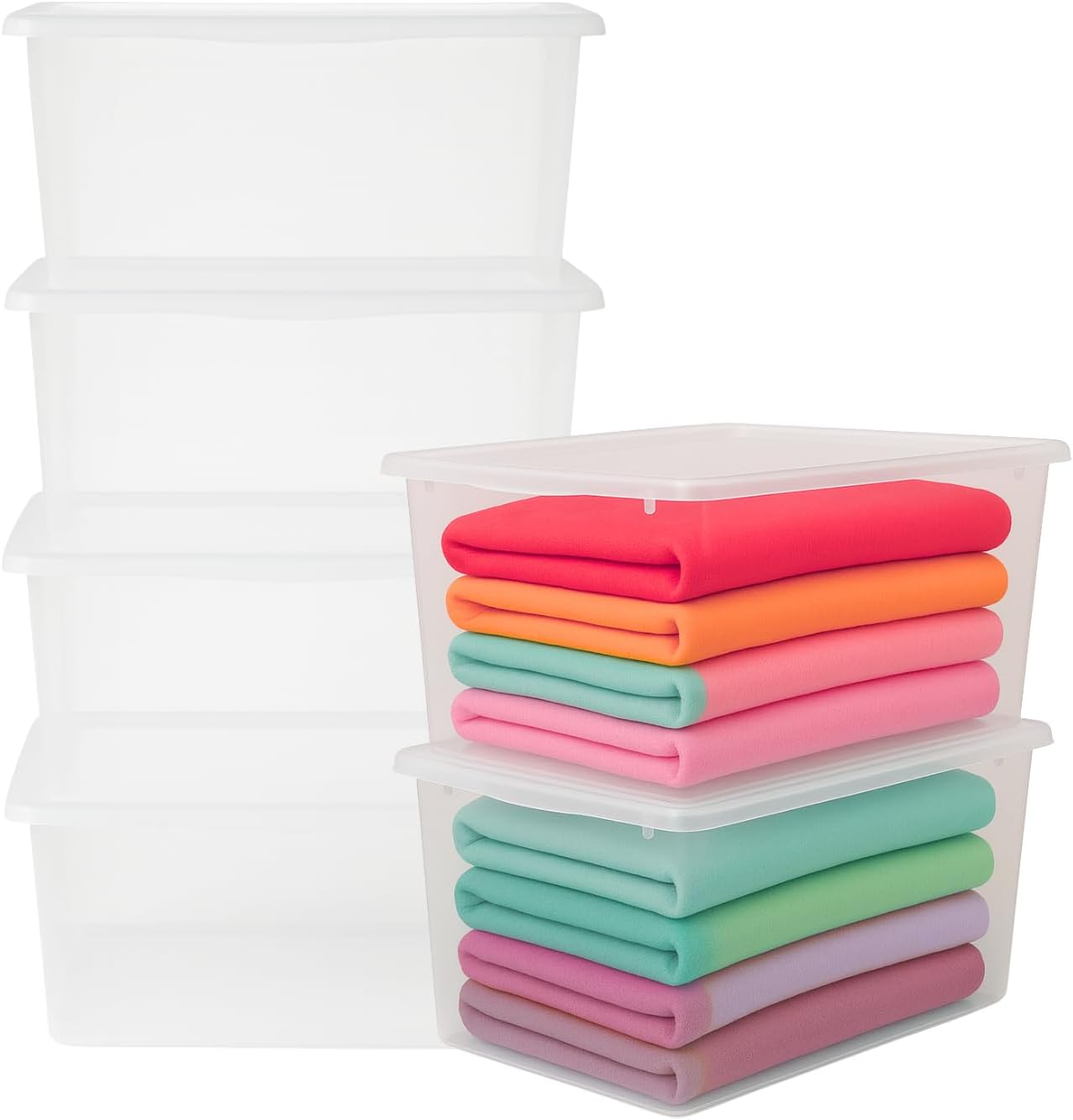 Contenitore Box 55x39x25 cm Trasparente con Coperchio